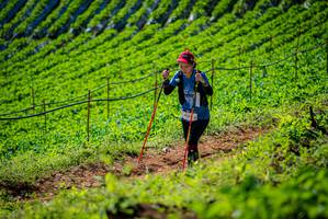 BIB: 
                            <button type="button" onclick="openModal(19162094)" class="btn btn-primary btn-sm float-right btn-popup" data-toggle="modal" data-target=".modal-high-quality">
                        <i class="fas fa-shopping-cart"></i> Add to Cart
                    </button>
                                            <button type="button" onclick="isThisMe(19162094, true)" class="btn btn-success btn-sm float-right btn-popup btn-isme hidden" data-toggle="tooltip" data-placement="bottom" title="นี่คือรูปของคุณใช่ไหม คลิกที่นี่เพื่อเอาเข้าอัลบั้ม">
                        <i class="fas fa-plus"></i> Add to album
                    </button>
                    <button type="button" onclick="isThisMe(19162094, false)" class="btn btn-warning btn-sm float-right btn-popup btn-isnotme hidden">
                        <i class="fas fa-ban"></i> Remove from album
                    </button>